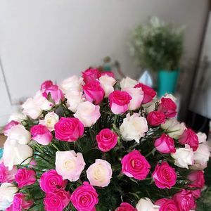 Meet your Posher, Jr.